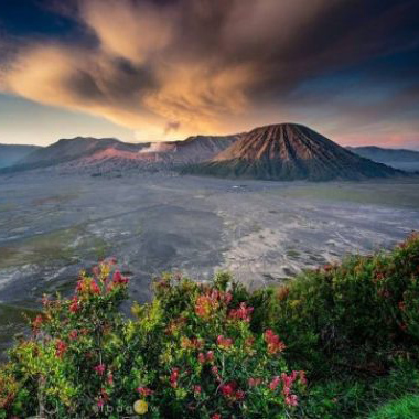 paket tour bromo, paket wisata bromo 1 hari, paket wisata bromo 2 hari 1 malam, paket wisata bromo 3 hari 2 malam, paket wisata bromo batu malang 4 hari 3 malam, paket wisata bromo private, paket wisata bromo dari malang, paket wisata bromo dari surabaya, paket wisata bromo kawah ijen, paket wisata bromo dari jakarta, paket wisata bromo tumpak sewu, paket percutian bromo, paket tour bromo malang dari jakarta, paket wisata malang 2 hari 1 malam, paket wisata malang 3 hari 2 malam, paket wisata malang 4 hari 3 malam, paket wisata malang batu, paket wisata malang bromo 3 hari 2 malam, paket wisata malang batu bromo 3 hari 2 malam, paket tour malang 3 hari 2 malam, paket wisata rombongan ke malang, paket tour surabaya malang 4 hari 3 malam, paket tour malang 5 hari 4 malam, paket wisata malang 6 hari 5 malam, paket wisata malang bromo 4 hari 3 malam, paket wisata surabaya malang 3 hari 2 malam, paket wisata batu 2 hari 1 malam, paket tour batu malang 3 hari 2 malam, paket wisata batu malang 4 hari 3 malam, paket wisata batu bromo 3 hari 2 malam, agent tour travel malang, agent tour travel bromo, travel tour bromo, agen travel bromo, sewa mobil malang, sewa mobil hiace malang, sewa mobil elf malang, sewa bus malang surabaya, sewa bus medium malang, paket wisata lombok dari malang, paket wisata lombok dari surabaya, paket wisata bali dari malang,paket wisata malang bali, paket liburan ke bali dari malang, paket tour malang bali,paket wisata bali 3 hari 2 malam dari surabaya, paket wisata jogja dari malang, paket tour malang jogja murah, paket wisata 3 hari 2 malam jogja, paket wisata bandung dari malang, paket wisata malang ke bandung,