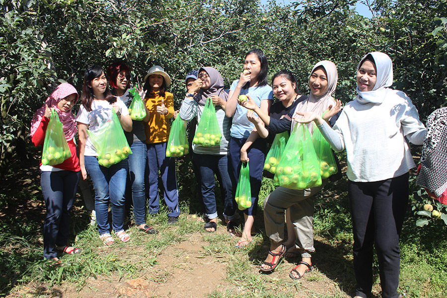 paket tour bromo, paket wisata bromo 1 hari, paket wisata bromo 2 hari 1 malam, paket wisata bromo 3 hari 2 malam, paket wisata bromo batu malang 4 hari 3 malam, paket wisata bromo private, paket wisata bromo dari malang, paket wisata bromo dari surabaya, paket wisata bromo kawah ijen, paket wisata bromo dari jakarta, paket wisata bromo tumpak sewu, paket percutian bromo, paket tour bromo malang dari jakarta, paket wisata malang 2 hari 1 malam, paket wisata malang 3 hari 2 malam, paket wisata malang 4 hari 3 malam, paket wisata malang batu, paket wisata malang bromo 3 hari 2 malam, paket wisata malang batu bromo 3 hari 2 malam, paket tour malang 3 hari 2 malam, paket wisata rombongan ke malang, paket tour surabaya malang 4 hari 3 malam, paket tour malang 5 hari 4 malam, paket wisata malang 6 hari 5 malam, paket wisata malang bromo 4 hari 3 malam, paket wisata surabaya malang 3 hari 2 malam, paket wisata batu 2 hari 1 malam, paket tour batu malang 3 hari 2 malam, paket wisata batu malang 4 hari 3 malam, paket wisata batu bromo 3 hari 2 malam, agent tour travel malang, agent tour travel bromo, travel tour bromo, agen travel bromo, sewa mobil malang, sewa mobil hiace malang, sewa mobil elf malang, sewa bus malang surabaya, sewa bus medium malang, paket wisata lombok dari malang, paket wisata lombok dari surabaya, paket wisata bali dari malang,paket wisata malang bali, paket liburan ke bali dari malang, paket tour malang bali,paket wisata bali 3 hari 2 malam dari surabaya, paket wisata jogja dari malang, paket tour malang jogja murah, paket wisata 3 hari 2 malam jogja, paket wisata bandung dari malang, paket wisata malang ke bandung,